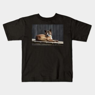 Dingo Kids T-Shirt